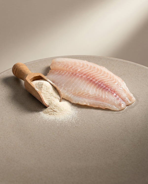 MARINE COLLAGEN